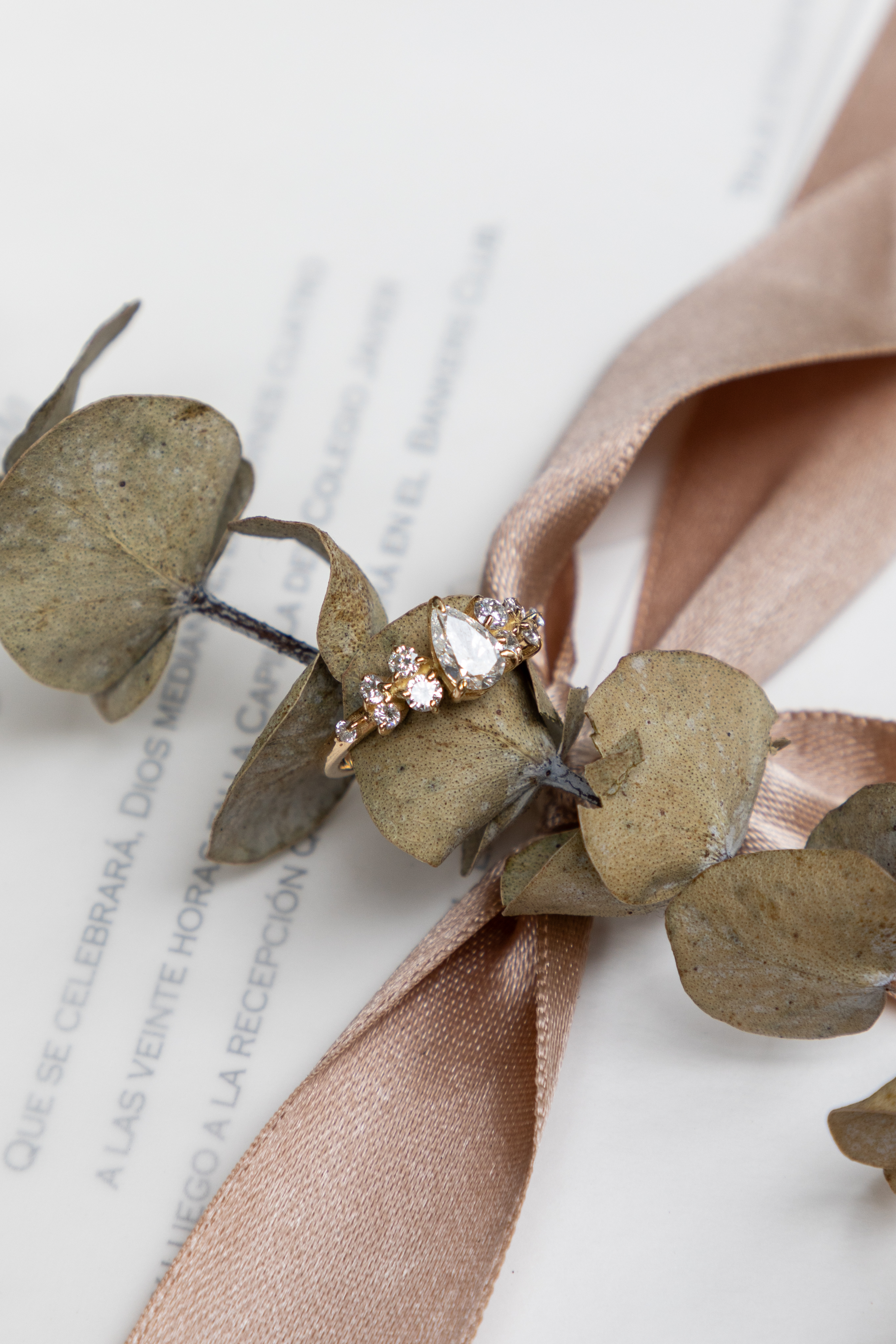 Vista completa del showroom